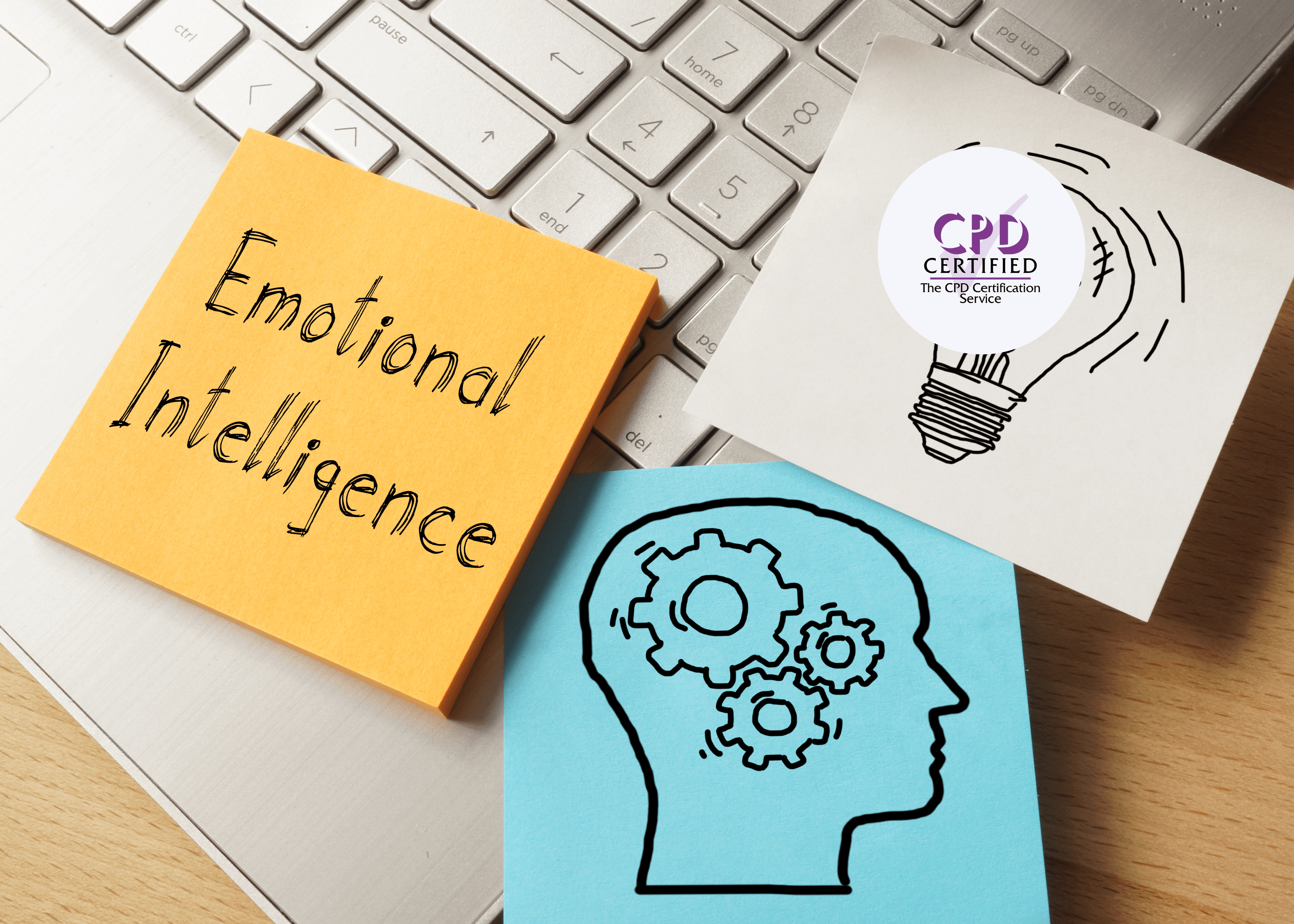 CPD Introduction to Emotional Intelligence – AIM Global Training Group