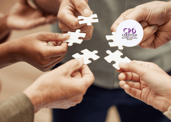 CPD Problem Solving in a Workplace